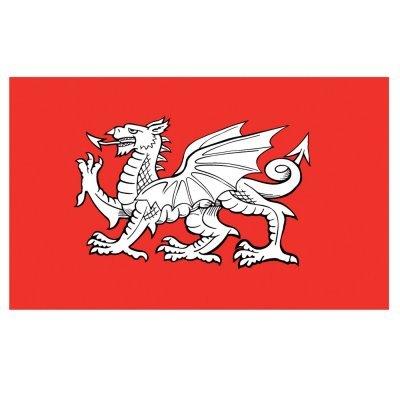 England White Dragon Flag 5ft x 3ft