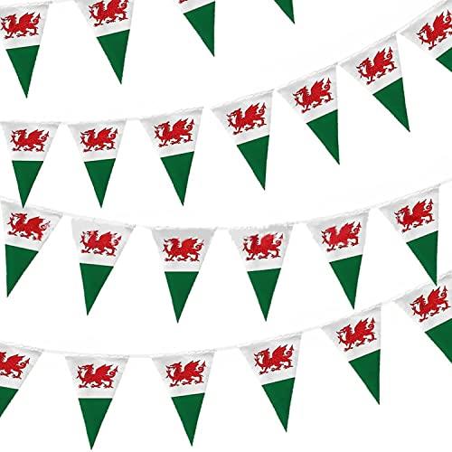 10m Welsh Triangle Bunting Banner Triangle Flags St Georges Day Euro Cricket Rugby Football