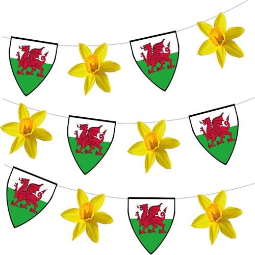 AK Giftshop Wales Welsh St David's Day Bunting Party Pub Decorations 12pcs 2.5m